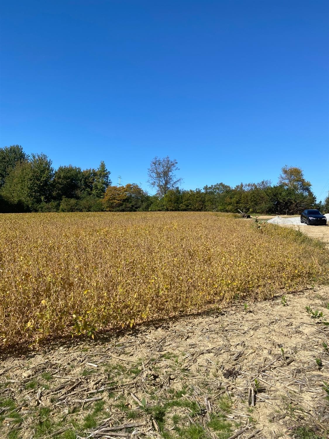 Lot 3001 Morrow Cozaddale Road