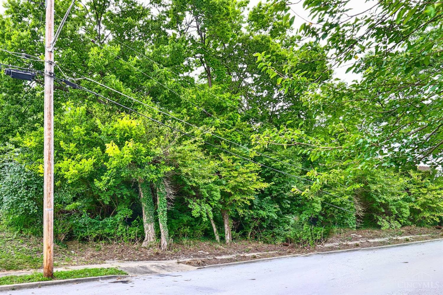 2911 Moosewood Court, Cincinnati