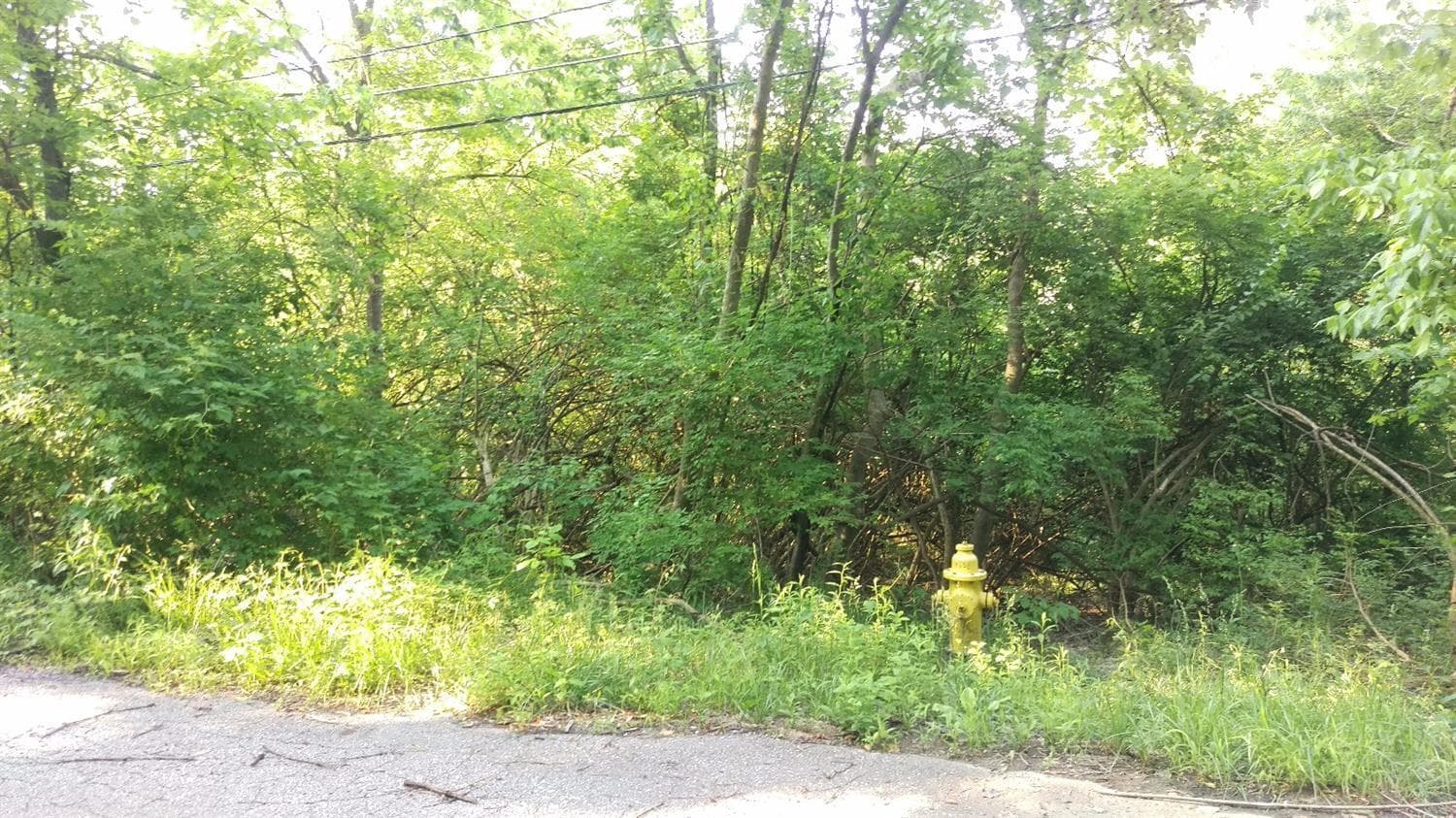4658 Reemelin Avenue, Cincinnati