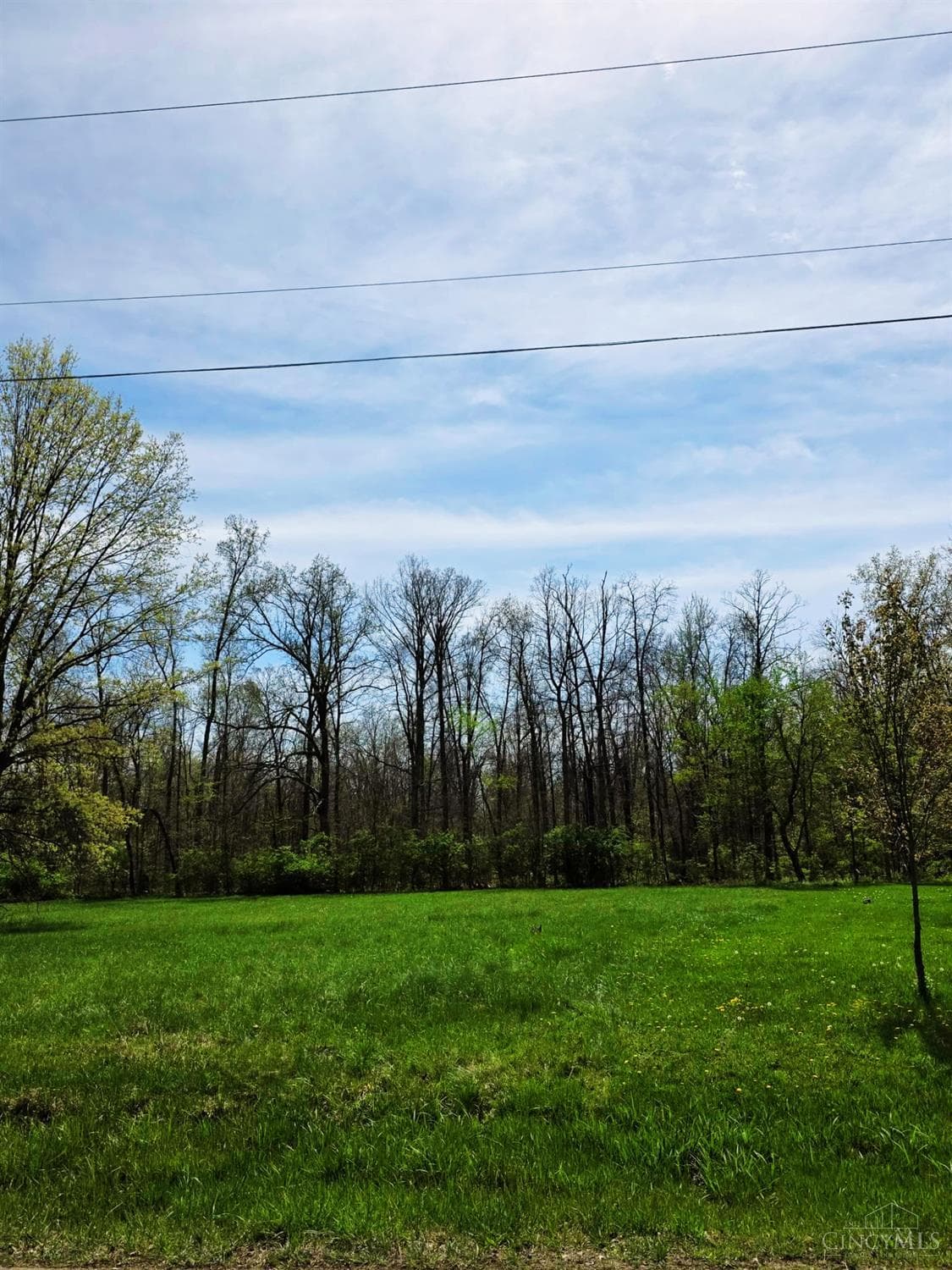 151 Dortmund Drive