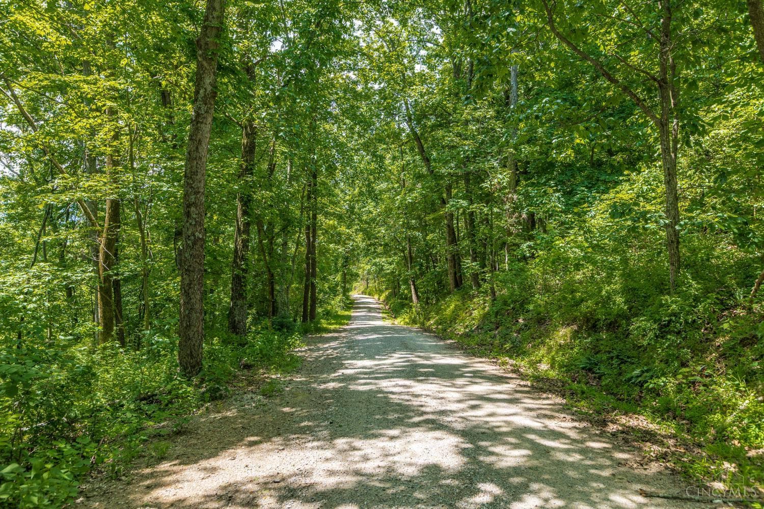 745 Coon Hollow Road