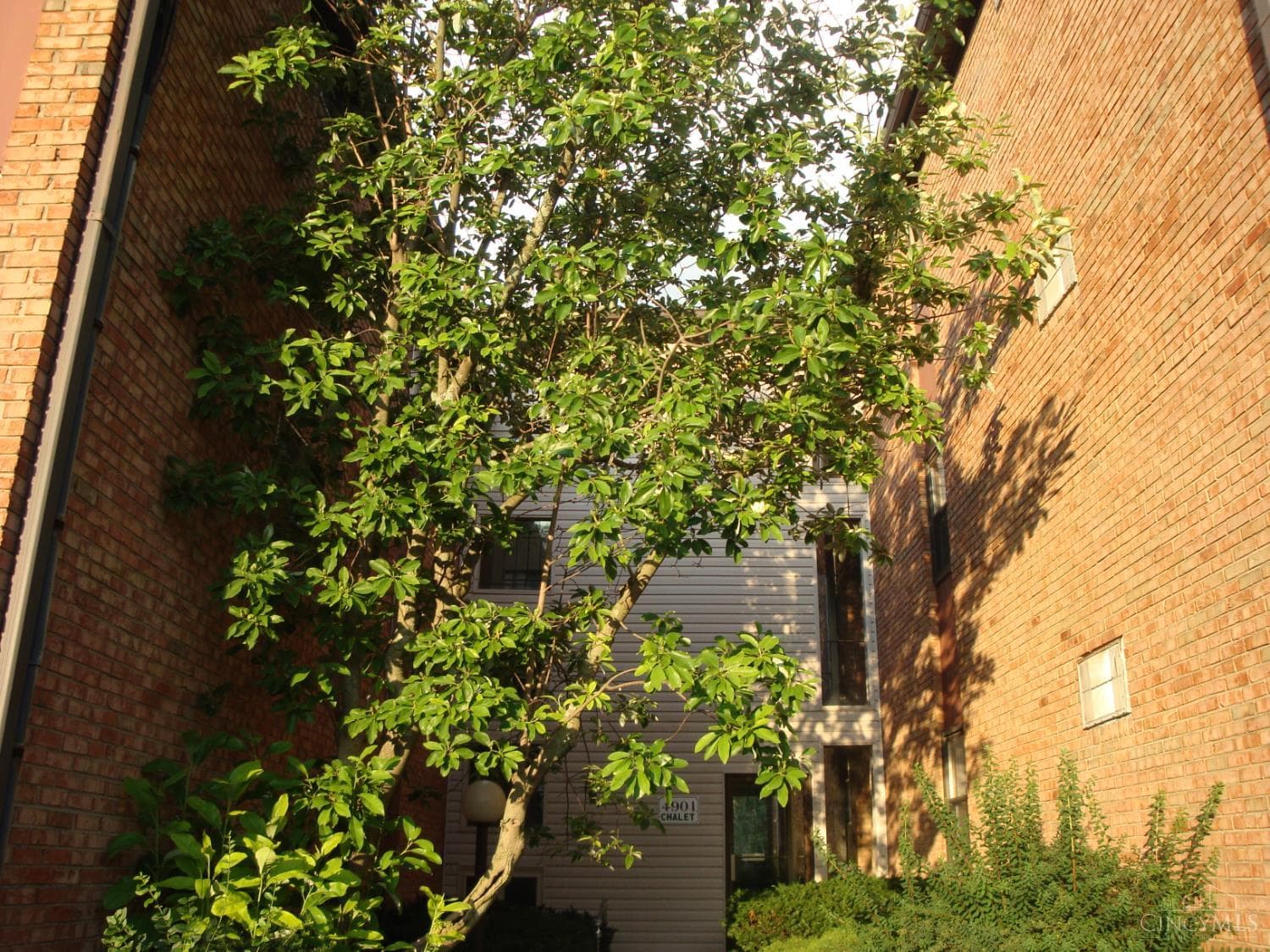 4901 Chalet Drive, Cincinnati