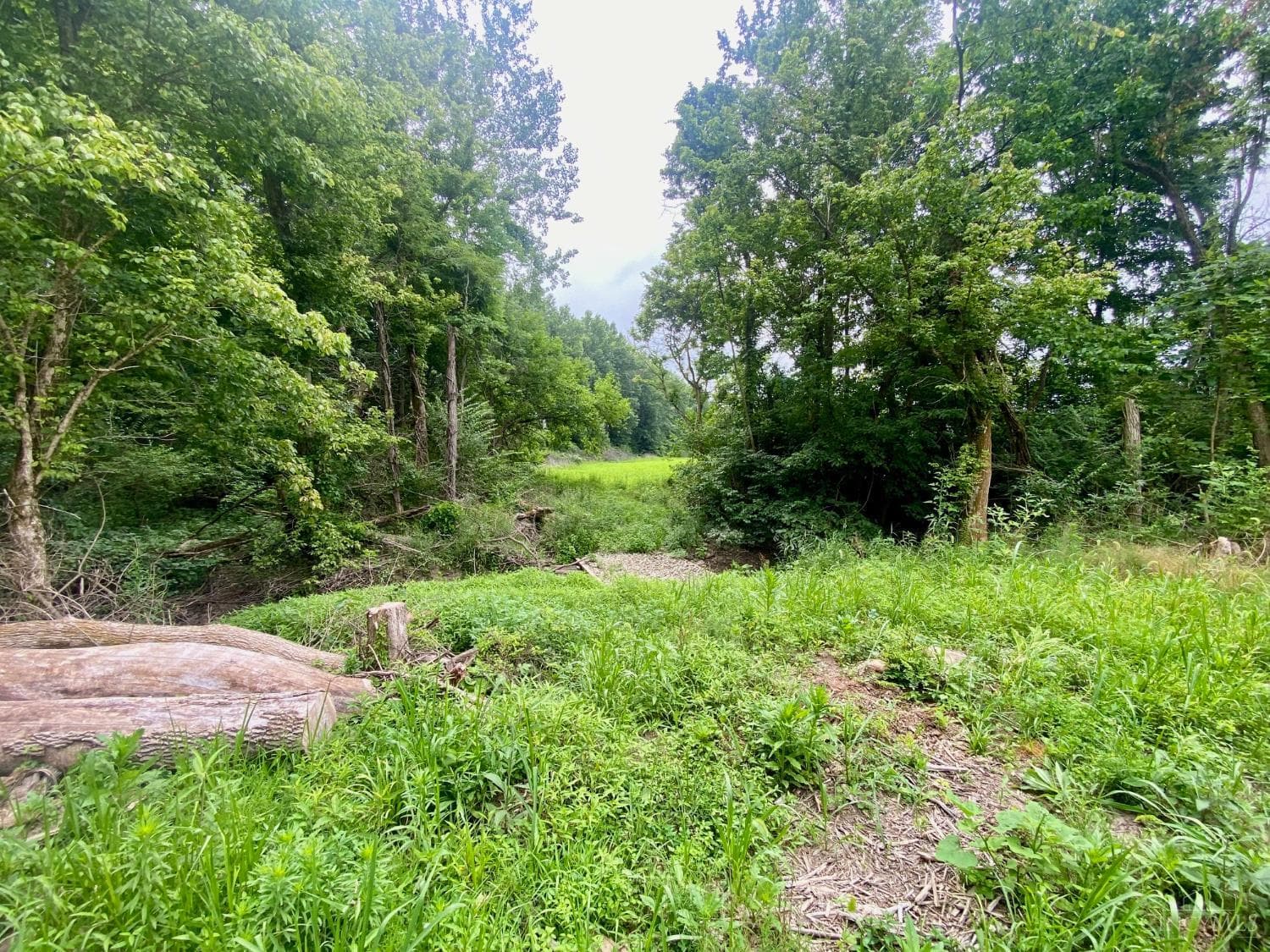 ac Ward-Koebel Road