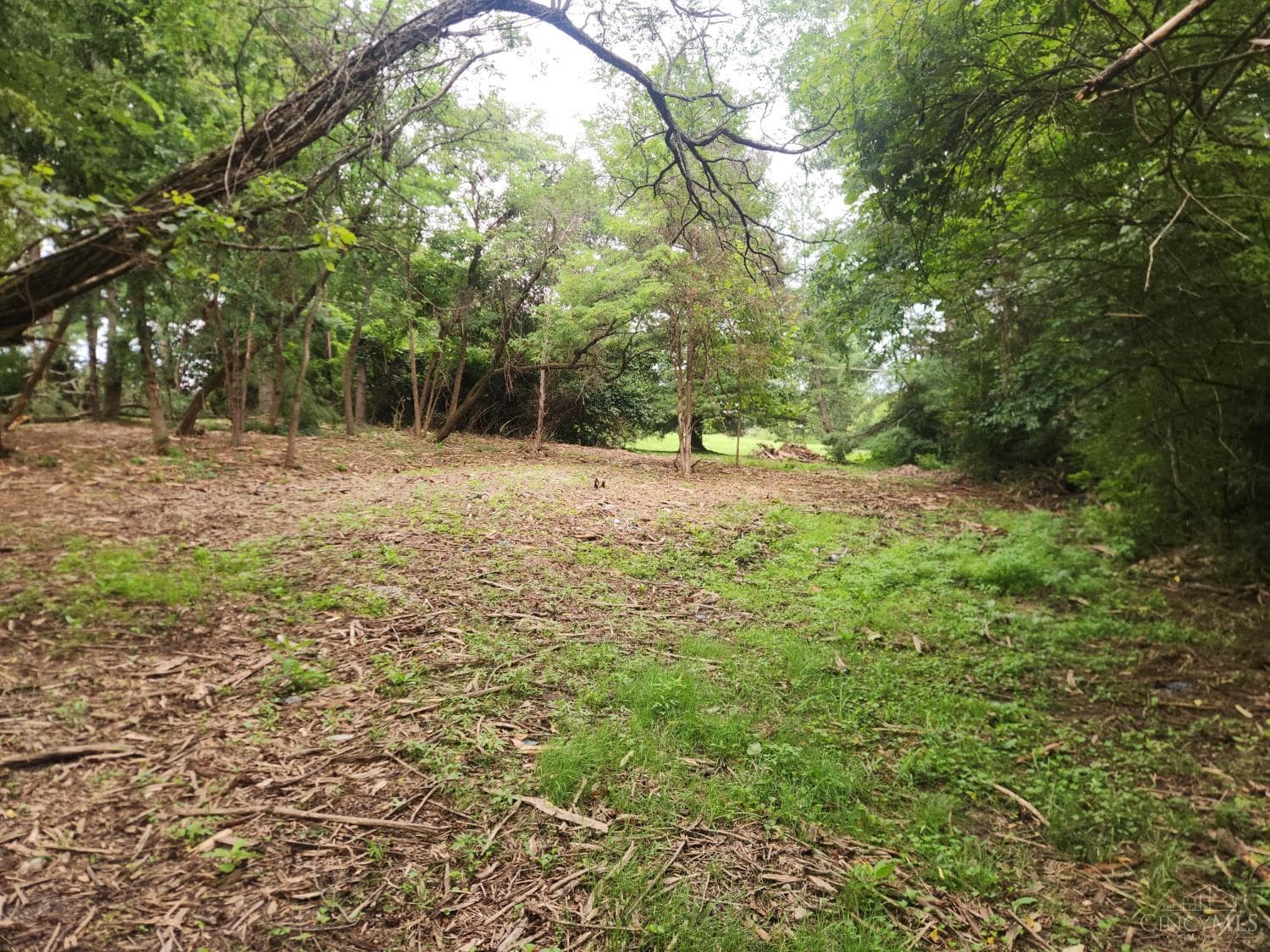 7660 Clough Pike, Anderson Twp