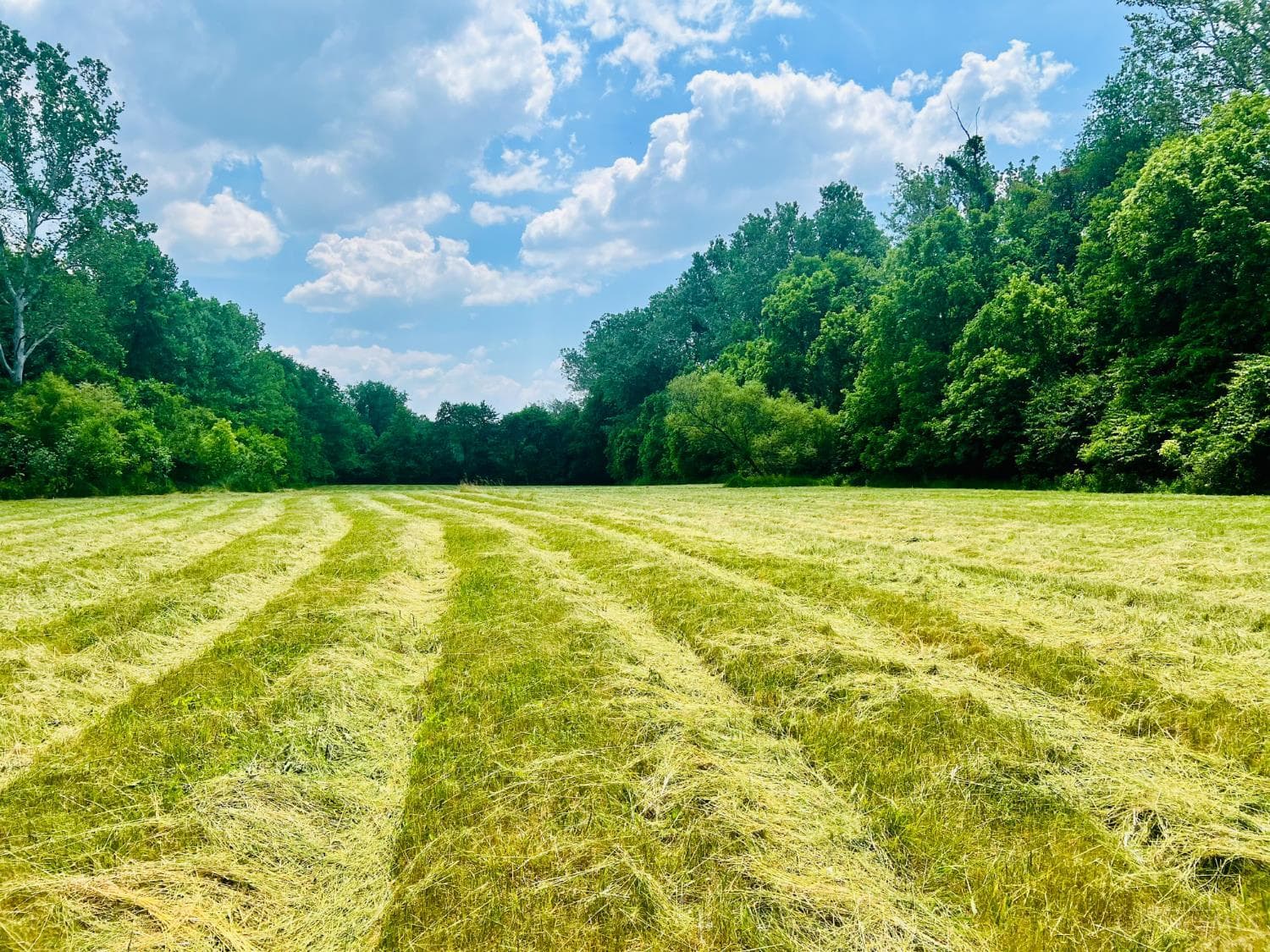 0 Princeton Road, Liberty Twp