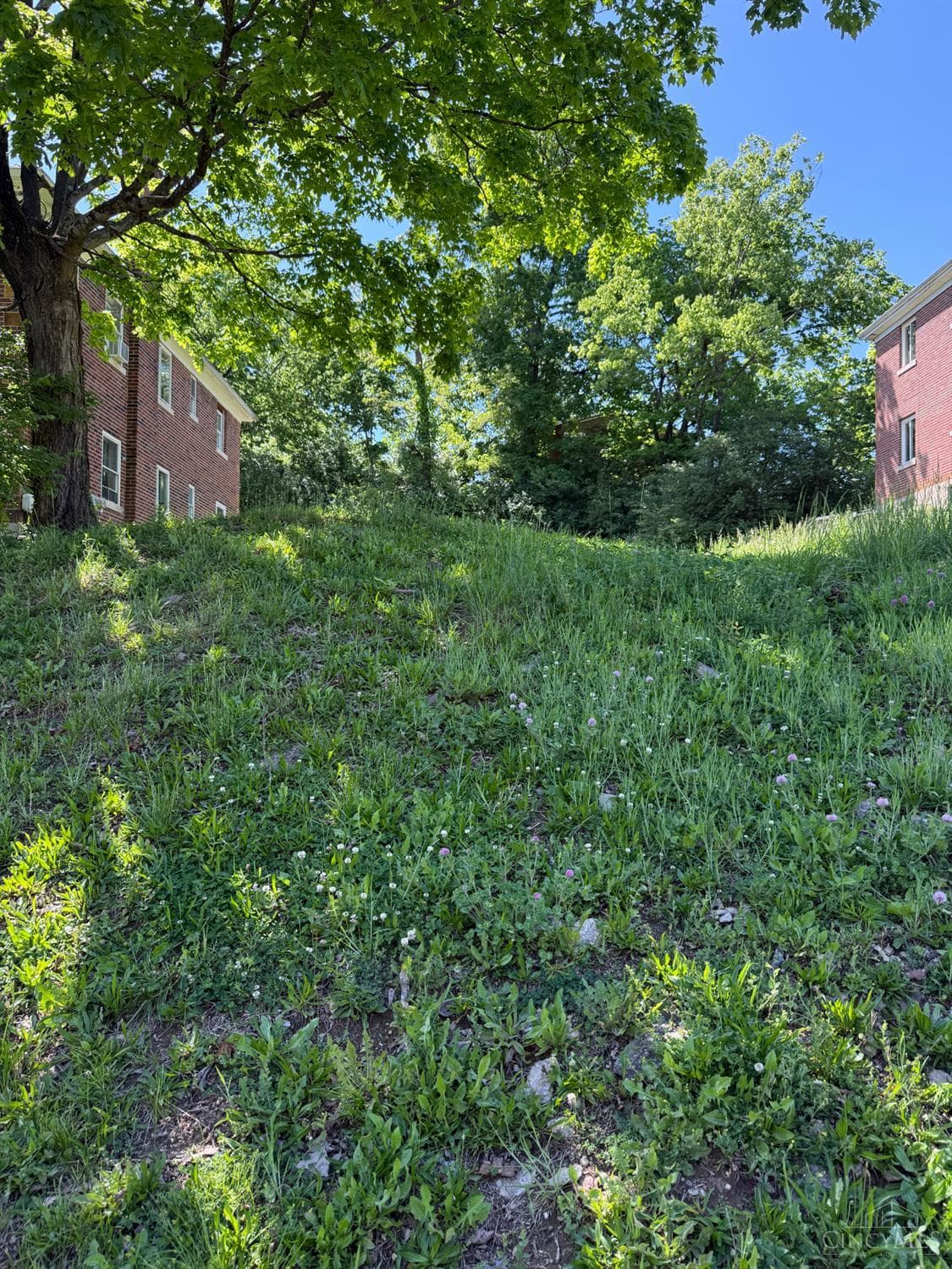 3127 Bracken Woods Lane, Cincinnati